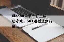 半岛体育官方网站-Xiaohu中单一打三成功守家，SKT遗憾止步八强